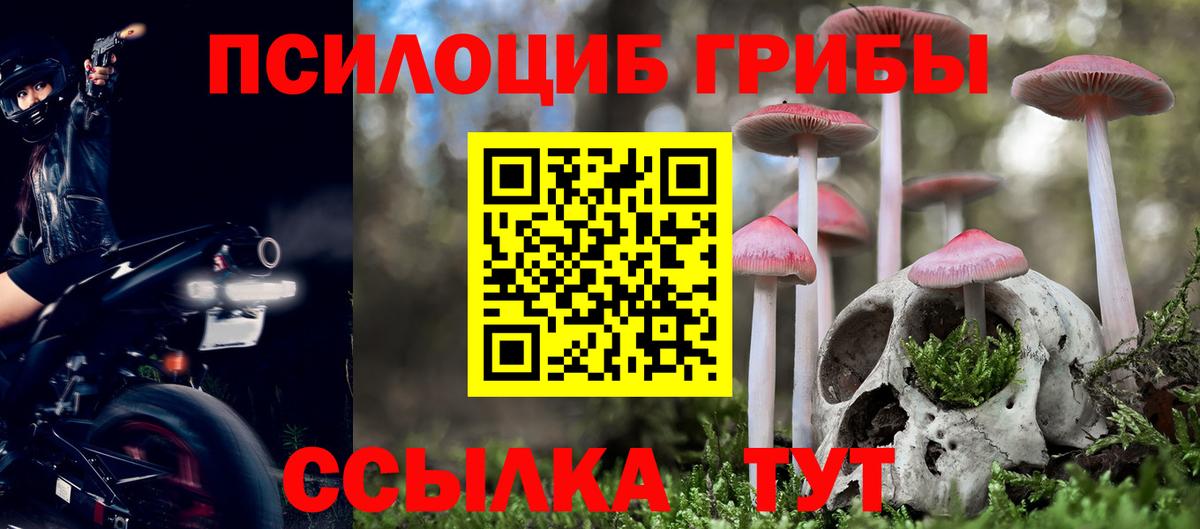 Галлюциногенные грибы MAGIC MUSHROOMS  Галлюциногенные грибы Psilocybine cubensis  Ирбит  Вход с VPN 